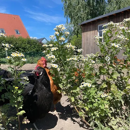 Apartament Gutshof Doberschau-Gaussig