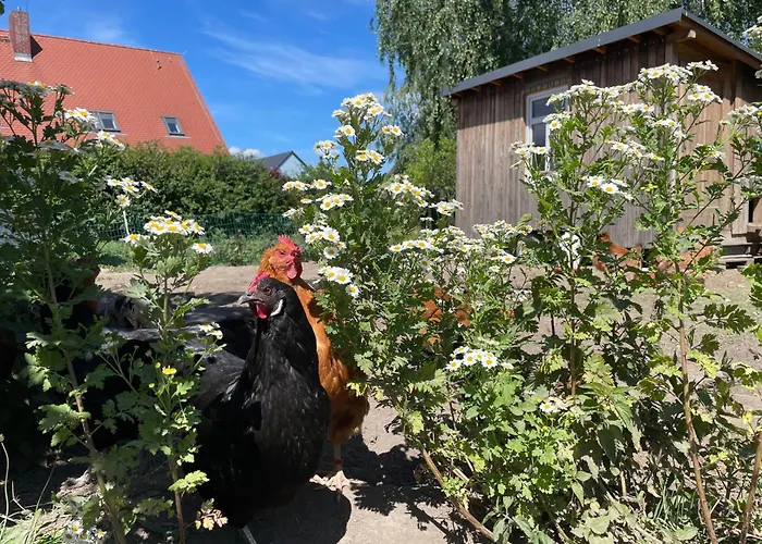 Apartment Gutshof Doberschau-Gaussig